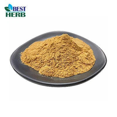 Quais são os ingredientes ativos do Extrato de Folha de Gymnema?